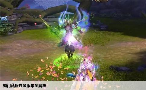 蜀门私服白金版本全解析